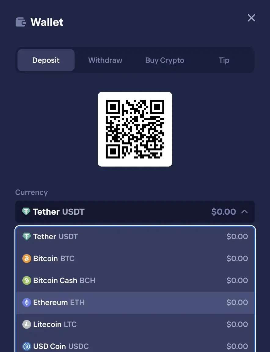 Duel Wallet deposit screen with QR code and cryptocurrency picker showing USDT, BTC, BCH, ETH, LTC, and USDC